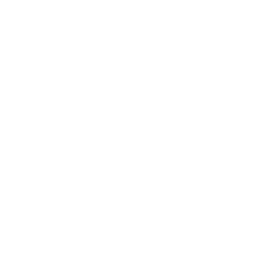 ce logo Lyon